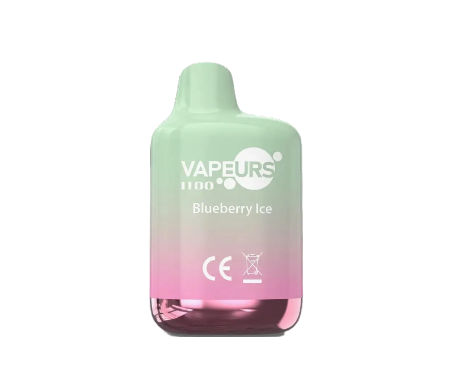 Vapeurs Box blueberry ice disposable vape with 1100 puffs